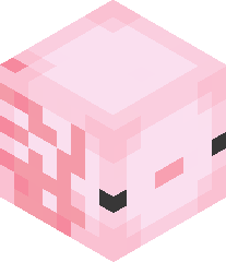 Constantine_M's head