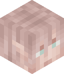 TheShinyHodzic's head