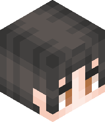 NoobMaster035756's head