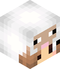 sleepyysheeps's head