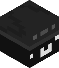 TokyoMER_Kitami's head