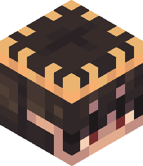 SebastianMwah's head