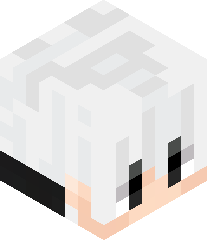 ChillBeret29557's head