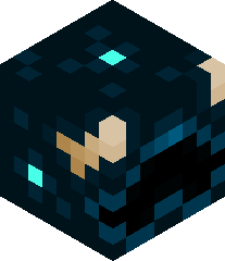 CowboyMcSalty's head