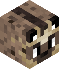 ITS_CRASH_YAY's head