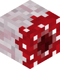 SwordCraft1997's head