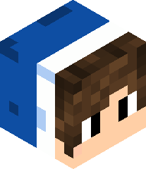 SamuelGamerSD_HD's head