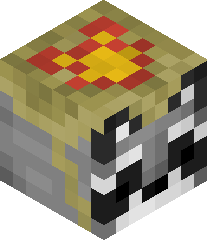 AgreeableRacoon's head