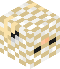 WhereRmyDragons's head