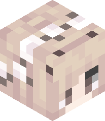 TwillyRockstar's head