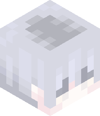 ItzCraftyLord's head