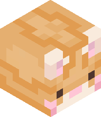 Happy_kittyCat20's head