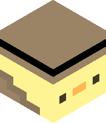 DuckyCraft668's head