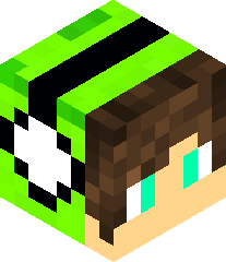 T1AwesomeSauceYT's head