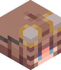 Jonathan96_MC's head