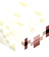 pacaliguvercin's head