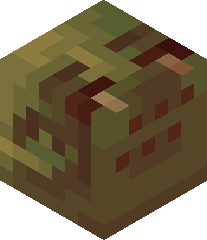 SoleSloth918513's head