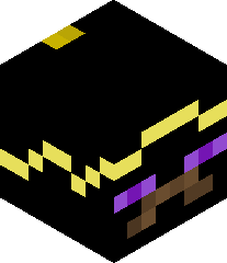 Enderman4009's head