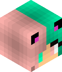 MeowCraft_'s head