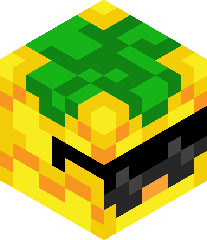 CosmicPineapple3's head